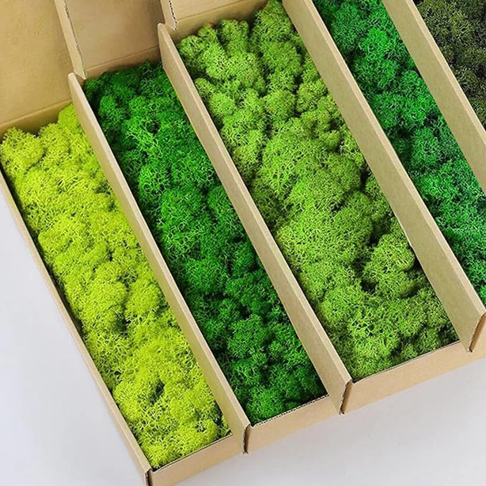 Sphagnum Moss Dry - 20-200g Piante verdi artificiali Erba finta