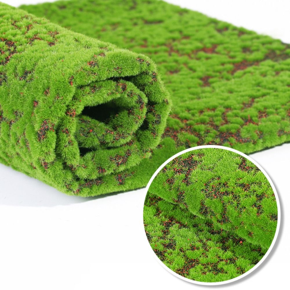 Sphagnum Moss Dry - Tappeto in Muschio Artificiale Fai-da-Te, Resistente