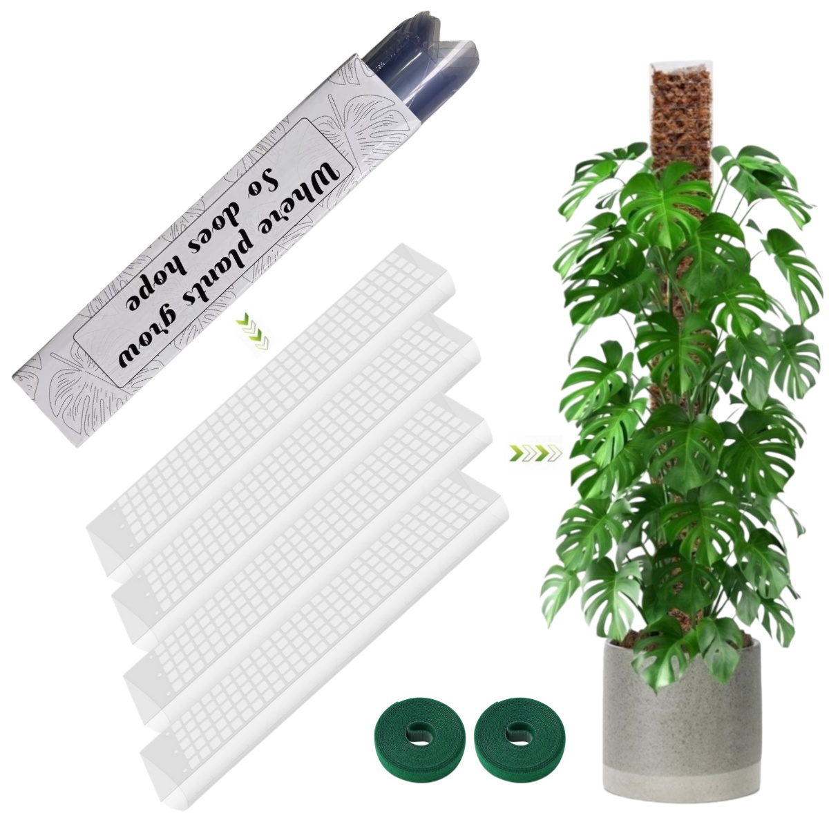 Sphagnum Moss Dry - Supporto per piante rampicanti da interno