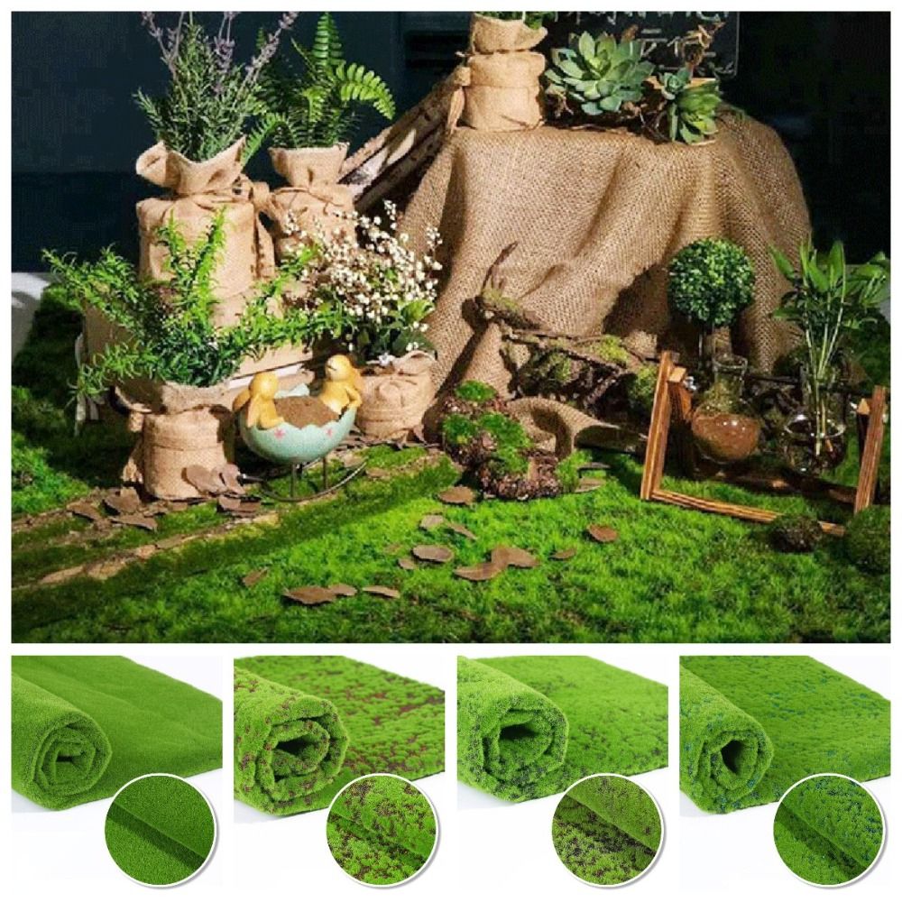 Tappeto in Muschio Artificiale - Sphagnum Moss Dry recensione e prezzo