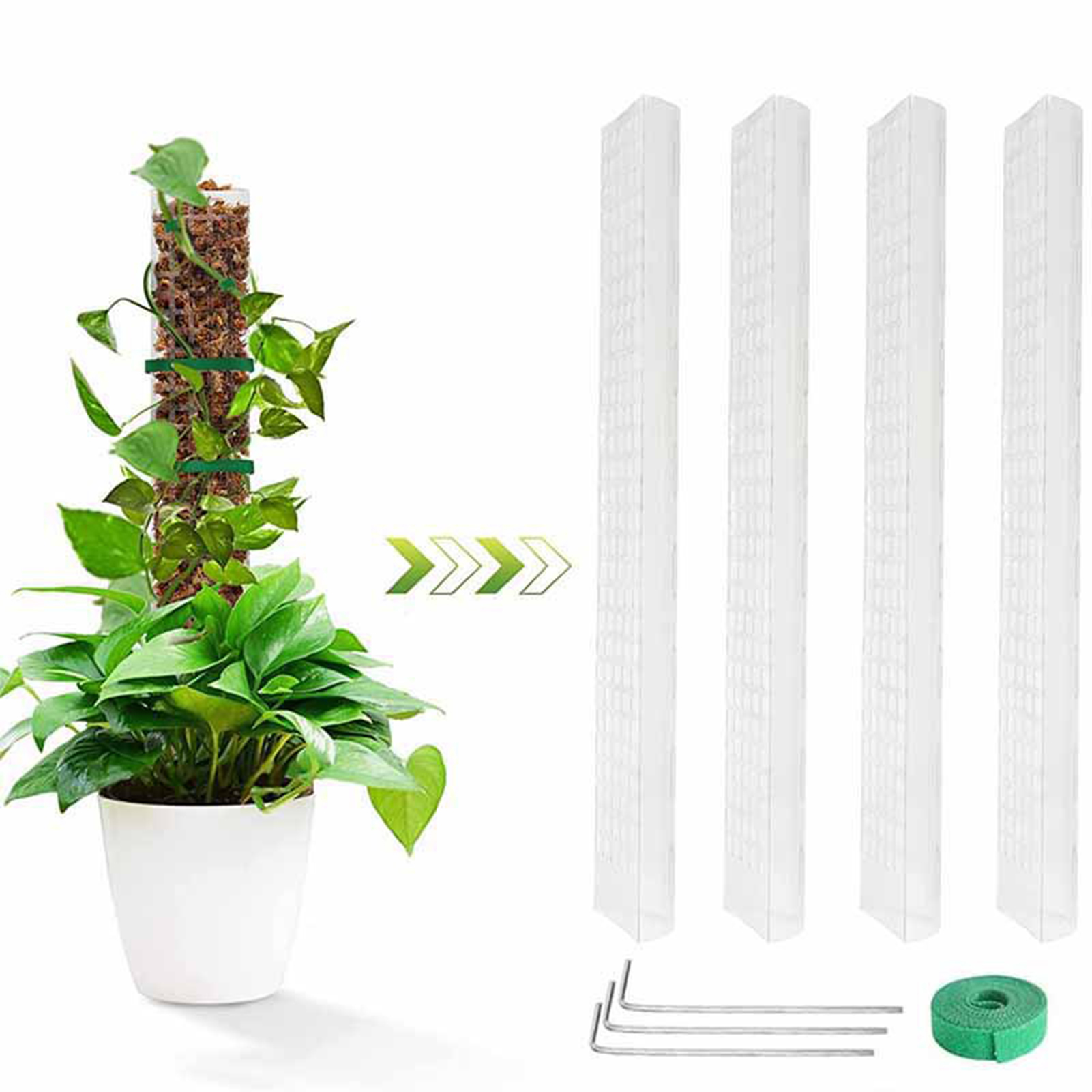 4 pezzi di piante rampicanti p - Sphagnum Moss Dry recensione e prezzo