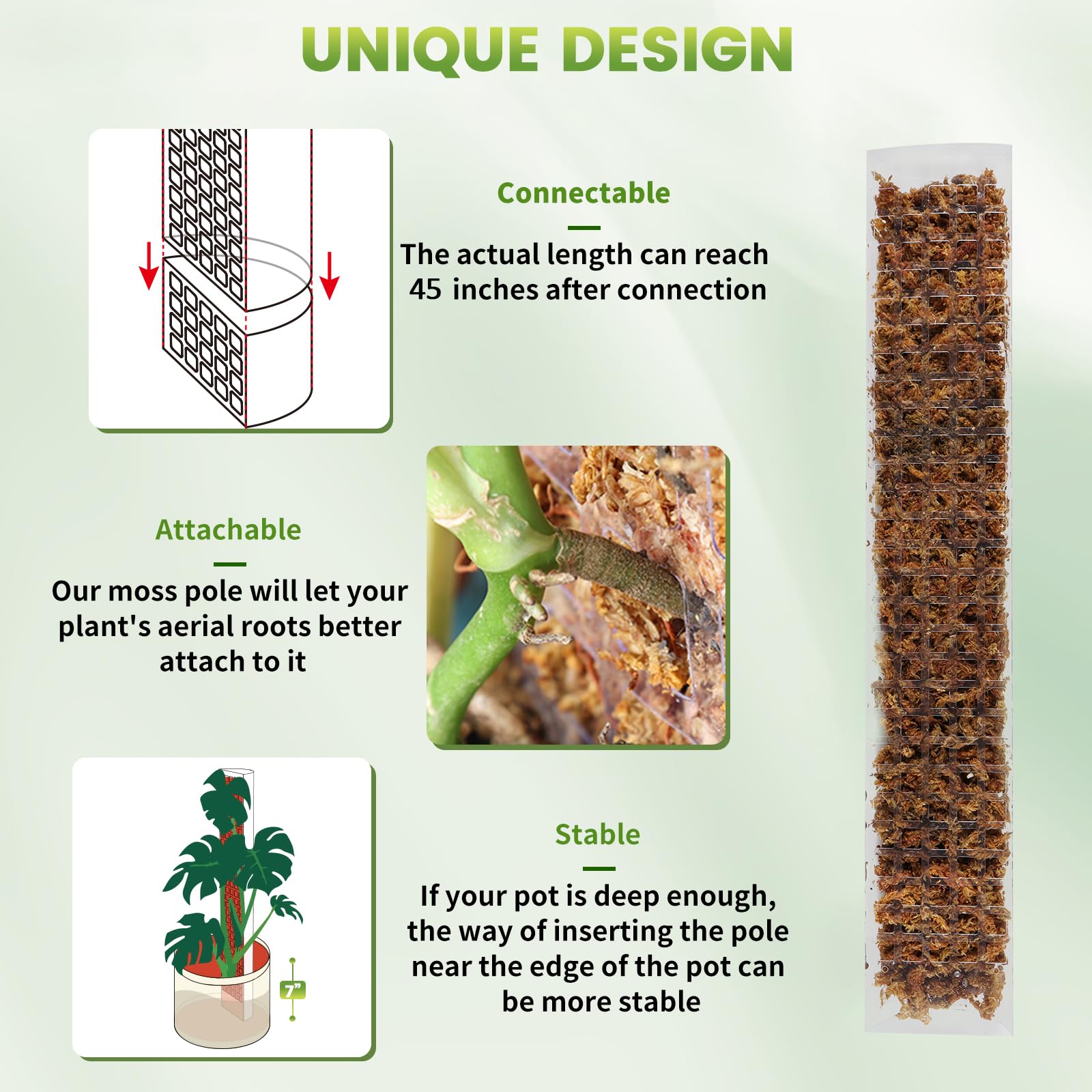 24/36/48 pollici Pianta rampic - Sphagnum Moss Dry recensione e prezzo