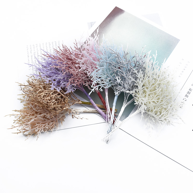 10 pezzi multicolori albero di - Sphagnum Moss Dry recensione e prezzo