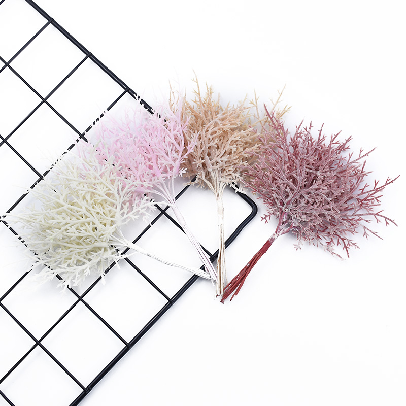 10 pezzi multicolori albero di - Sphagnum Moss Dry recensione e prezzo