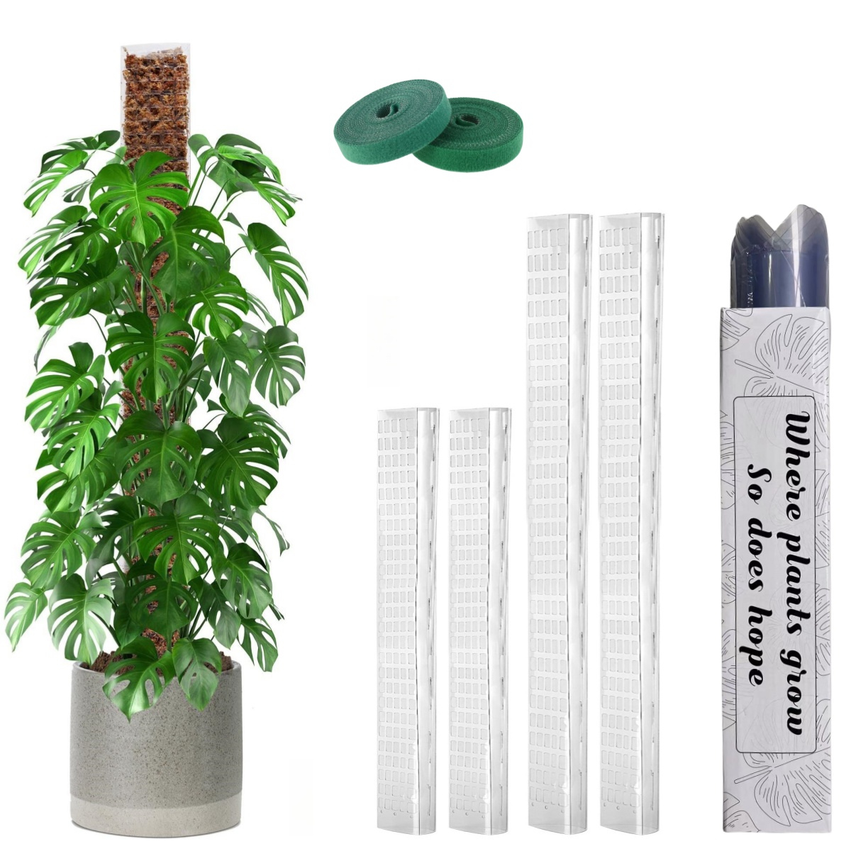 Palo di supporto in plastica d - Sphagnum Moss Dry recensione e prezzo