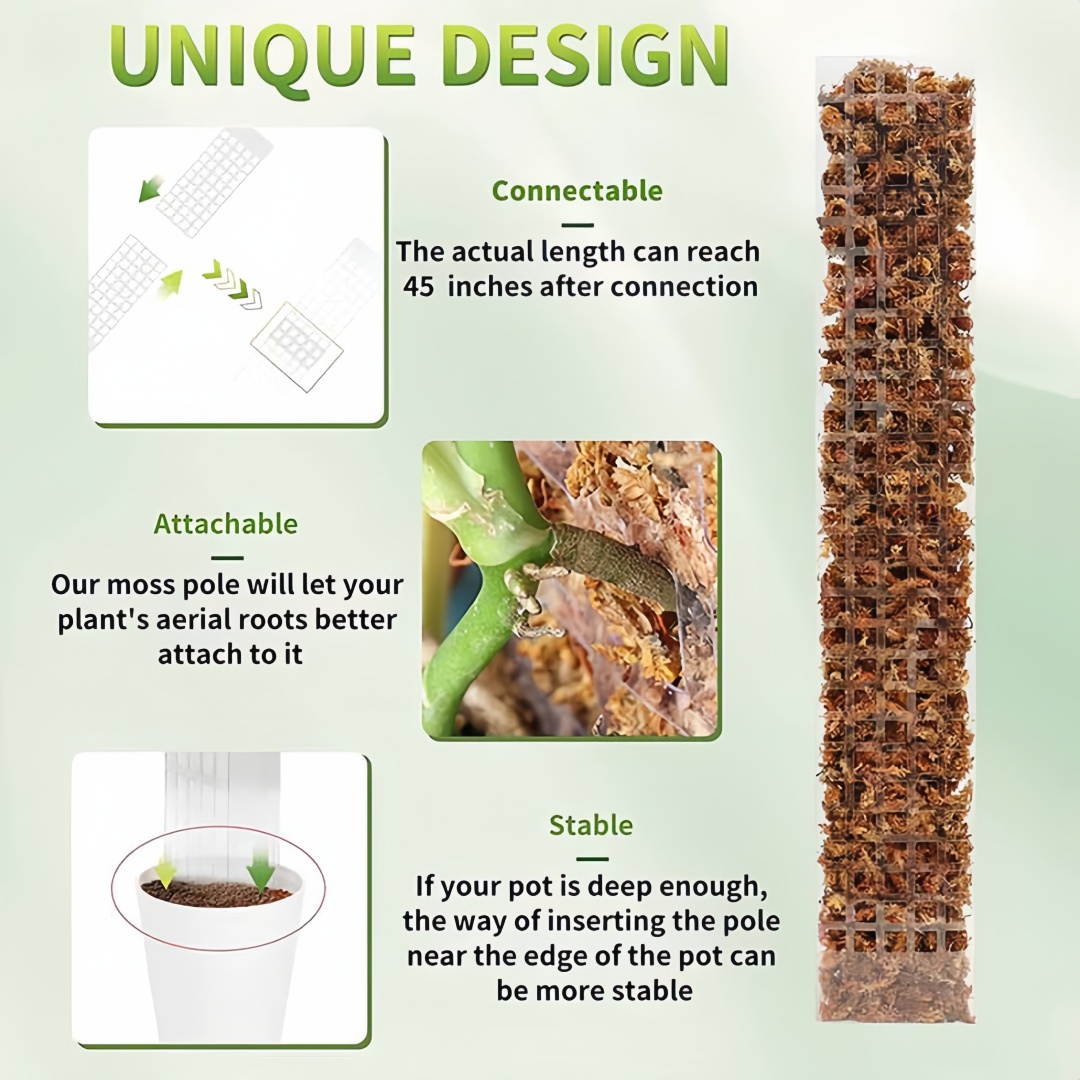 Supporto per piante rampicanti - Sphagnum Moss Dry recensione e prezzo