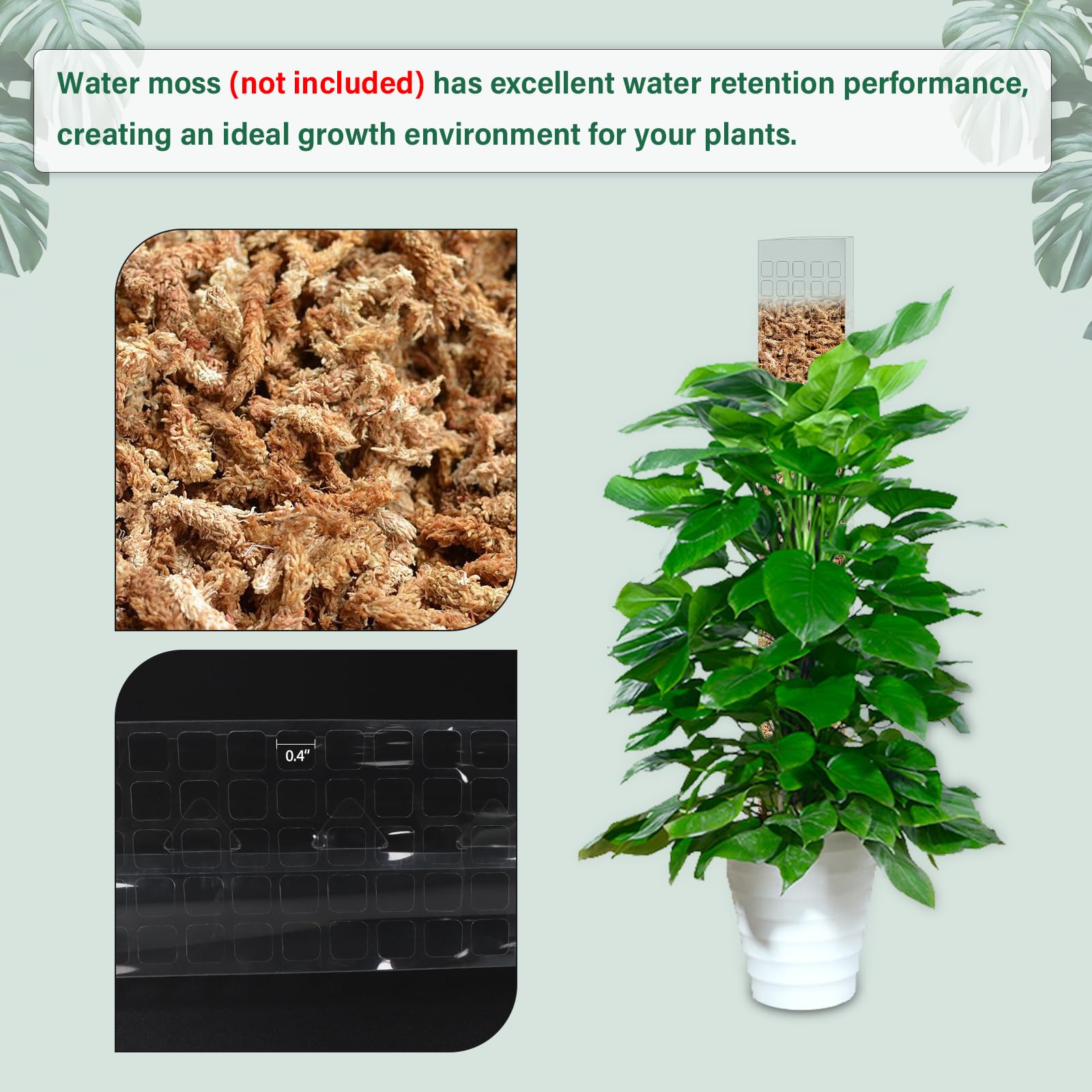 Supporto per piante rampicanti - Sphagnum Moss Dry recensione e prezzo