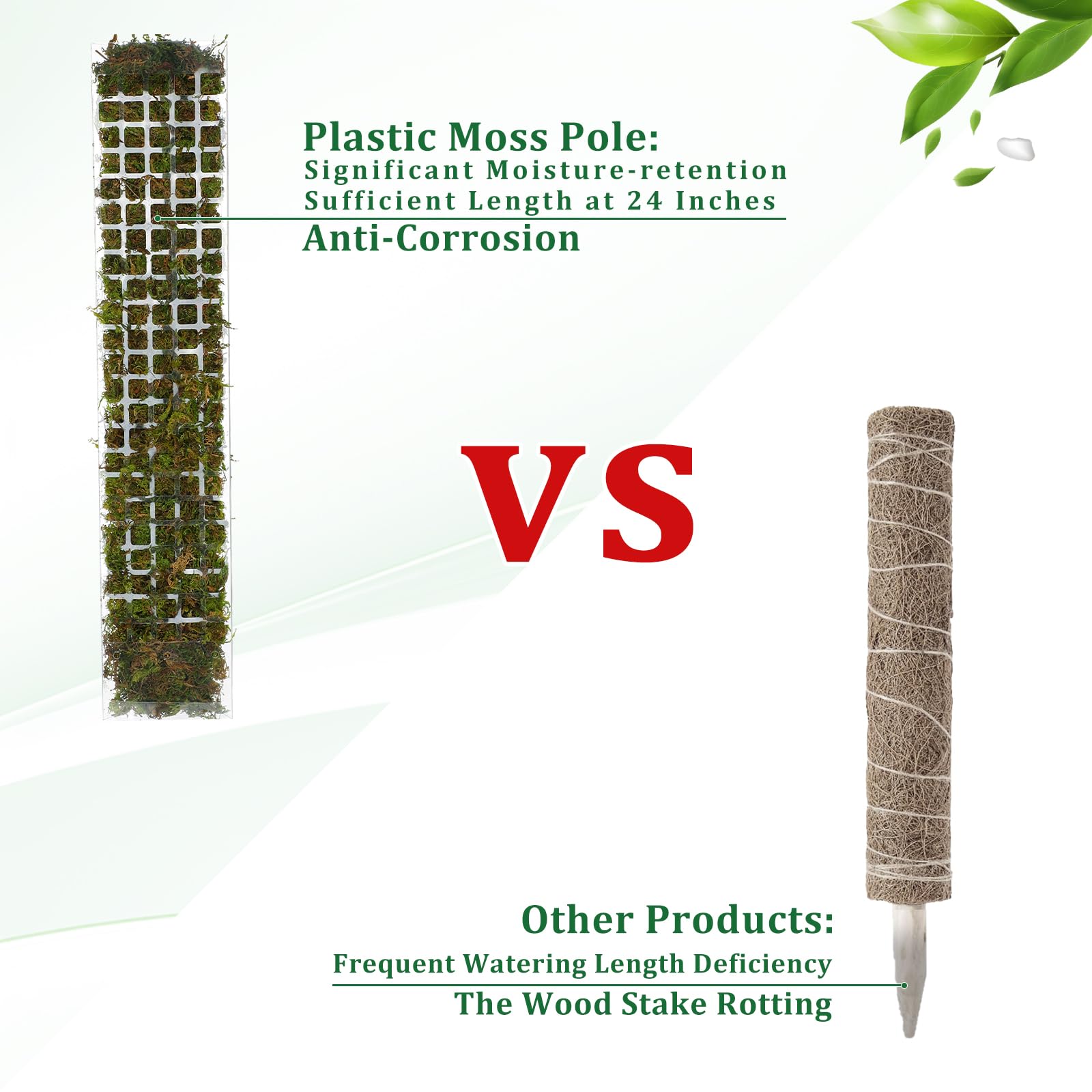 Supporto per piante rampicanti - Sphagnum Moss Dry recensione e prezzo